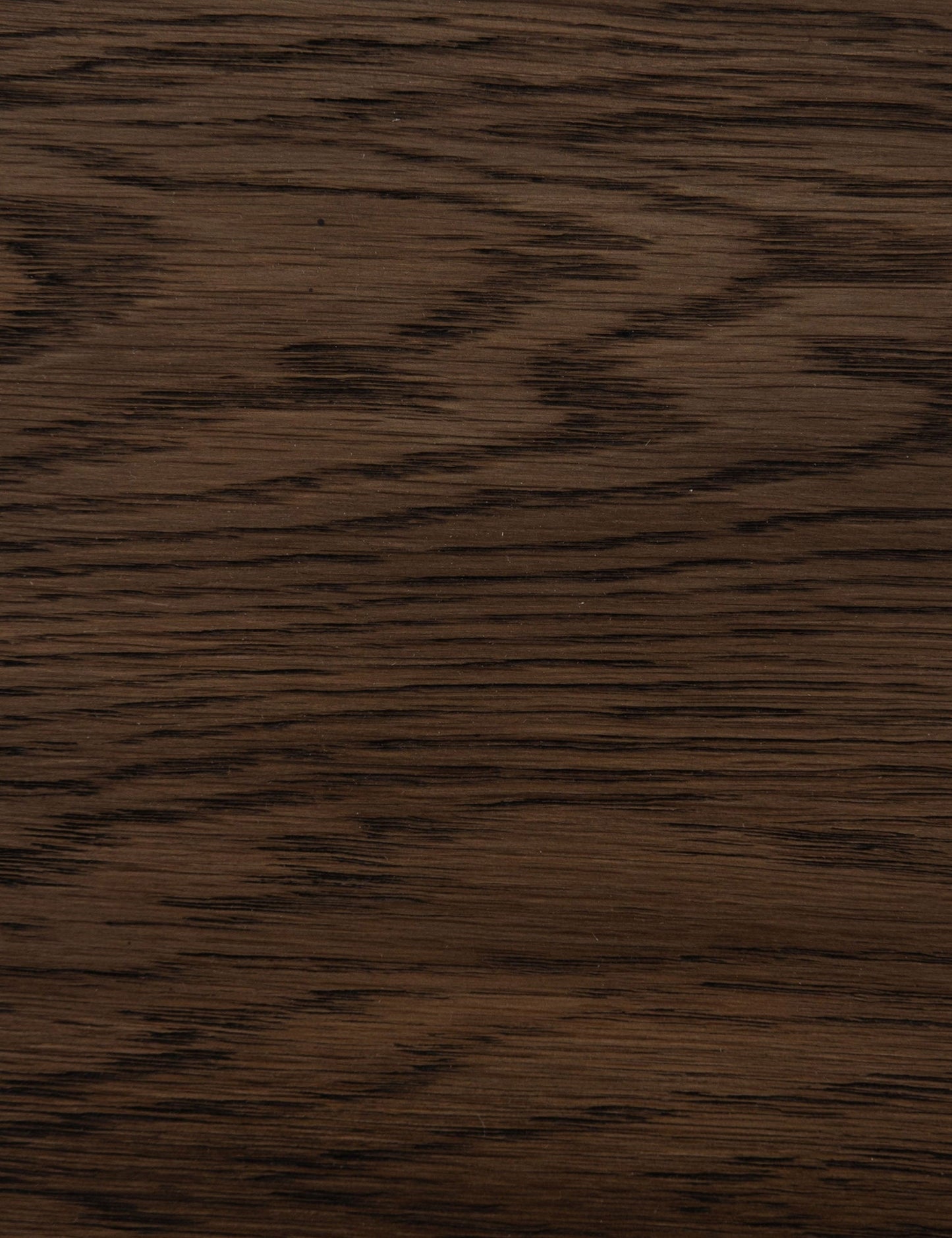 Rian Dining Chair