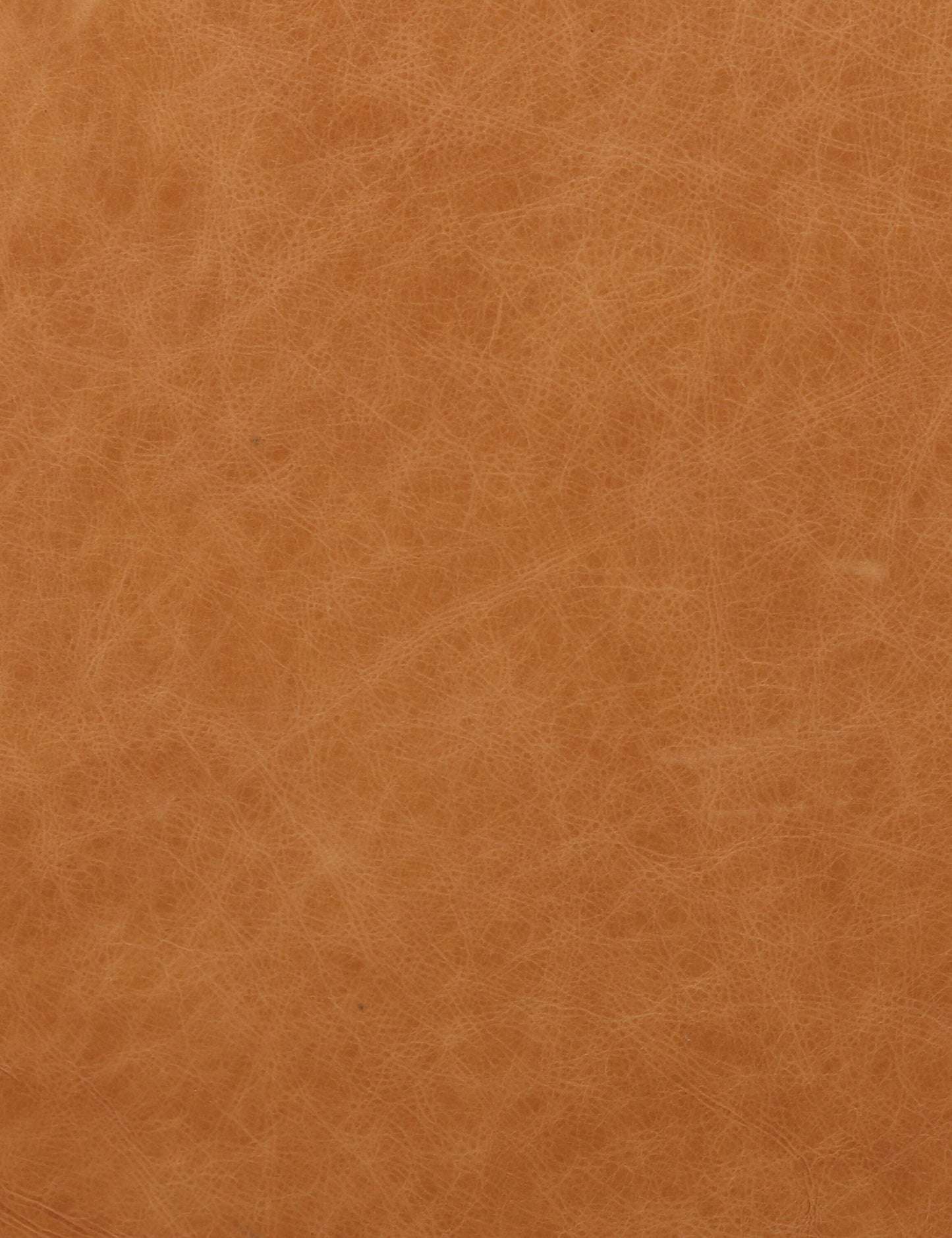 Orielle Leather Sofa
