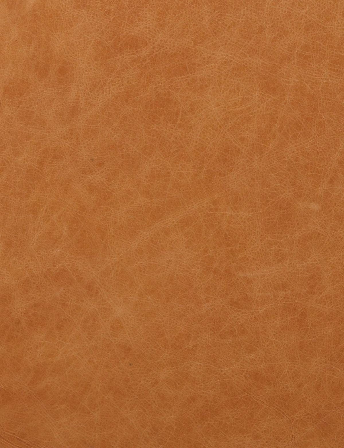 Orielle Leather Sofa